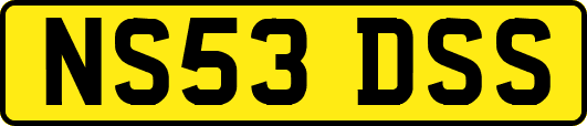 NS53DSS