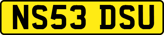 NS53DSU