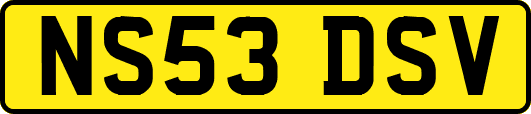 NS53DSV