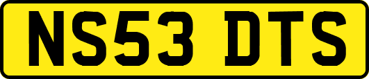 NS53DTS