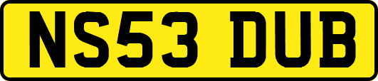 NS53DUB
