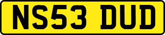 NS53DUD