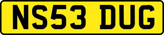 NS53DUG