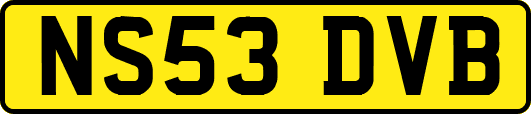 NS53DVB