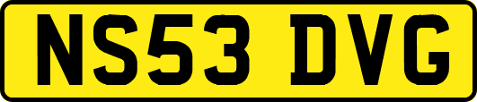 NS53DVG