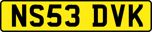 NS53DVK