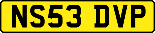 NS53DVP