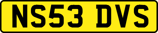 NS53DVS