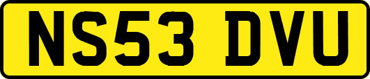 NS53DVU