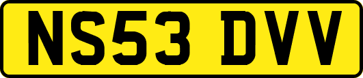 NS53DVV