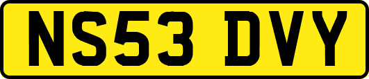 NS53DVY