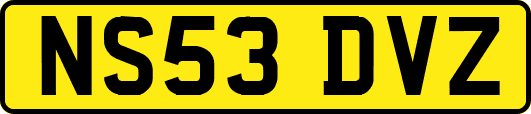 NS53DVZ