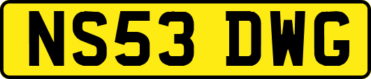 NS53DWG