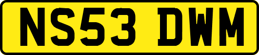 NS53DWM