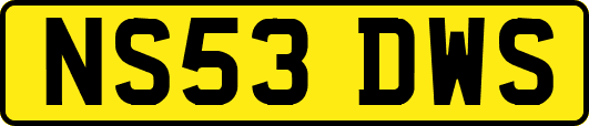 NS53DWS