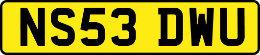 NS53DWU