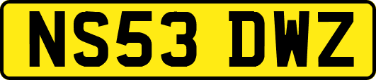 NS53DWZ