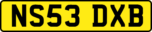 NS53DXB