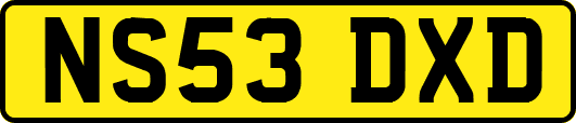 NS53DXD