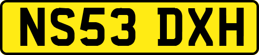 NS53DXH