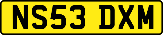 NS53DXM