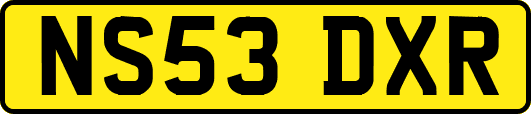 NS53DXR