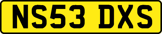 NS53DXS