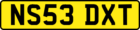 NS53DXT