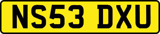 NS53DXU