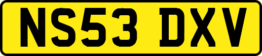 NS53DXV