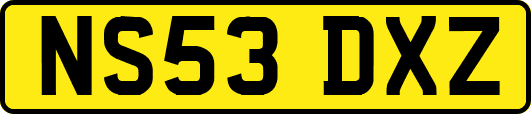 NS53DXZ
