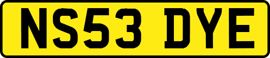 NS53DYE