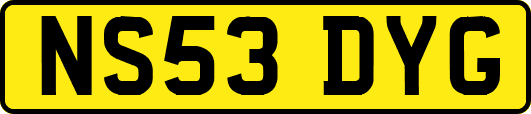 NS53DYG