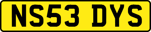NS53DYS