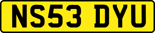 NS53DYU