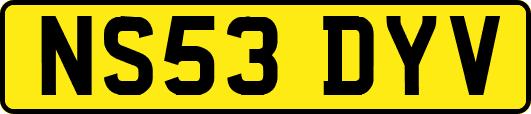 NS53DYV