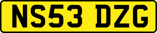NS53DZG