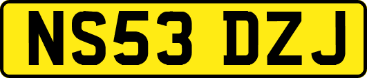 NS53DZJ