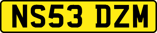 NS53DZM