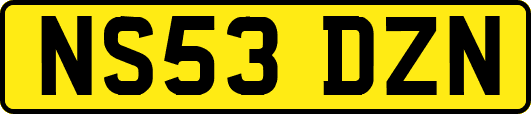 NS53DZN