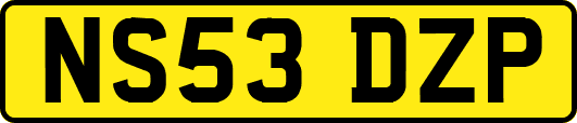 NS53DZP