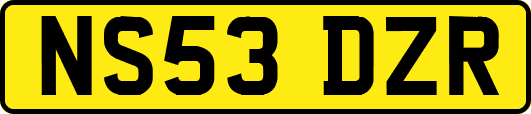 NS53DZR