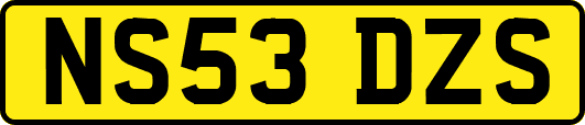 NS53DZS