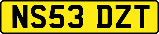 NS53DZT