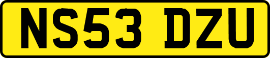 NS53DZU