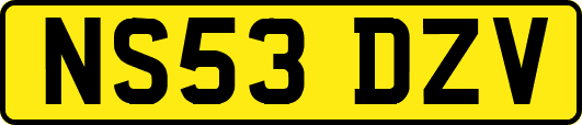NS53DZV