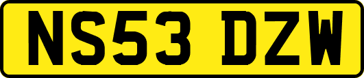 NS53DZW