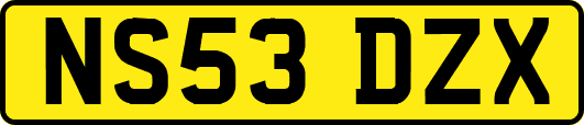 NS53DZX