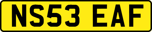 NS53EAF