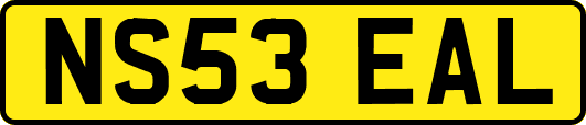 NS53EAL